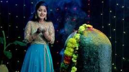 Sashirekha Parinayam S10E22 Sashi Makes a Huge Sacrifice Full Episode