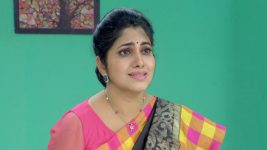 Sashirekha Parinayam S11E16 Subadhra Is Shocked! Full Episode