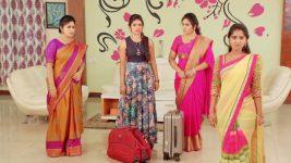 Sashirekha Parinayam S11E22 Subhadra Confronts Sashi Full Episode