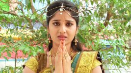 Sashirekha Parinayam S13E12 Pre-Wedding Rituals Begin Full Episode