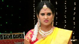 Sashirekha Parinayam S13E22 Wedding Mayhem! Full Episode