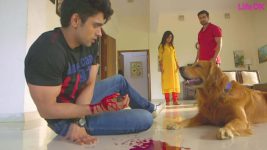 Savdhaan India S60E38 Dog, Man's Best Friend! Full Episode