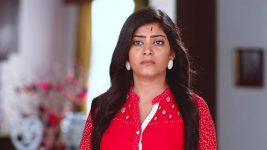 Suhani Si Ek Ladki S26E20 Suhani's Little Secret Full Episode