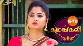 Sumangali S01E643 31st May 2019 Full Episode