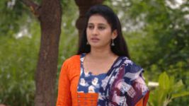 Suryavamsham S01E614 12th November 2019 Full Episode