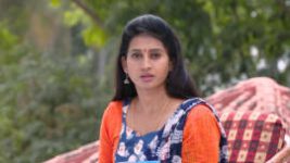 Suryavamsham S01E619 18th November 2019 Full Episode