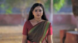 Trinayani (Telugu) S01E18 21st March 2020 Full Episode