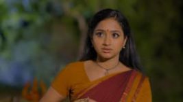 Trinayani (Telugu) S01E24 22nd June 2020 Full Episode