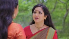 Trinayani (Telugu) S01E29 27th June 2020 Full Episode
