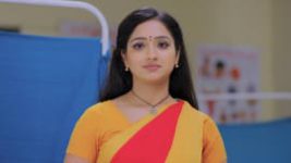 Trinayani (Telugu) S01E32 1st July 2020 Full Episode