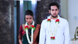 Hoo Male S01 E249 Preethi-Nikhil tie the knot