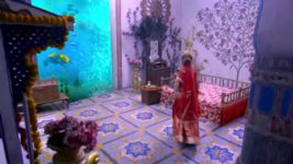 Radha Krishn S01 E428 Krishna Fulfils Rukmini's Wish
