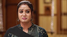 Raja Rani S02 E574 Sandhya's Career at Risk?