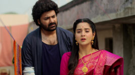 Saheber Chithi S01 E209 Saheb's Request to Chithi