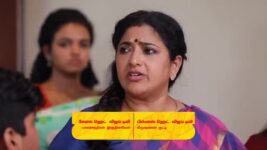 Raja Rani S02 E596 Kavitha Plots a Plan