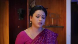 Baakiyalakshmi S01 E766 Gopinath Feels Envious
