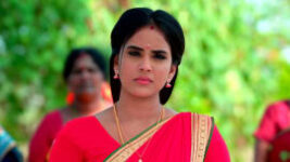 Amudhavum Annalakshmiyum S01 E209 10th March 2023