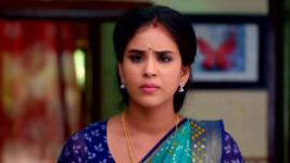 Amudhavum Annalakshmiyum S01 E219 22nd March 2023