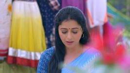 Dheere Dheere Se S01 E69 Bhawana Learns a Shocker