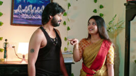 Janaki Kalaganaledu S01 E534 Janaki Makes an Attempt