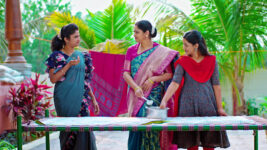 Janaki Kalaganaledu S01 E538 Mallika Has Doubts