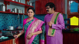 Janaki Kalaganaledu S01 E539 Jnanamba Has an Advice