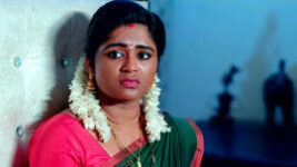 Krishna Sundari S01 E484 13th March 2023