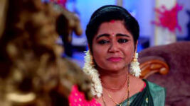 Krishna Sundari S01 E491 22nd March 2023