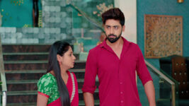 Nuvvu Nenu Prema S01 E258 Padmavathi in a Tight Spot