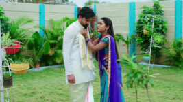 Nuvvu Nenu Prema S01 E267 Padmavathi Demands Answers