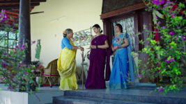 Pallakilo Pellikuturu S01 E157 Bhanumathi Executes Her Plan