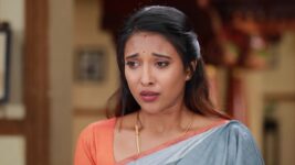 Raja Rani S02 E613 Sivagami Yells at Sandhya