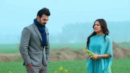 Swapnodana S01 E279 Jasmine instigates Angad