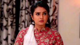 Thavamai Thavamirundhu S01 E284 11th March 2023