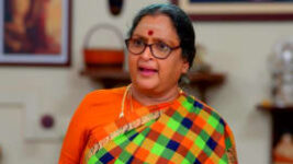 Thavamai Thavamirundhu S01 E286 14th March 2023