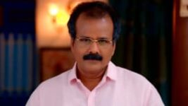 Thavamai Thavamirundhu S01 E287 15th March 2023
