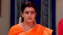 Thavamai Thavamirundhu S01 E294 23rd March 2023