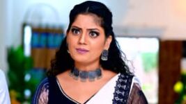 Vaidehi Parinayam S01 E567 22nd March 2023