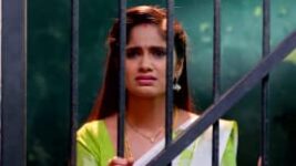 Vidhya No 1 S01 E350 14th March 2023