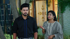 Pallakilo Pellikuturu S01 E181 Sindhu Spills the Beans