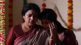 Raja Rani S02 E630 Sivagami in Trouble?