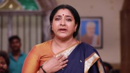 Raja Rani S02 E641 Sivagami Makes a Confession