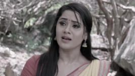 Madhuranagarilo (Star Maa) S01 E63 Radha, Shyam Are Relieved