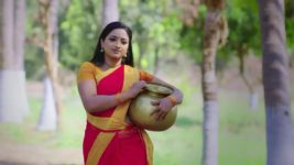 Trinayani (Telugu) S01 E937 26th May 2023