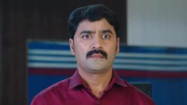 Intiki Deepam Illalu ( Telugu) S01 E733 Rashi, Dhamayanthi Feel Guilty