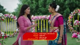 Krishnamma Kalipindhi Iddarini S01 E61 The Wedding Celebrations Begin