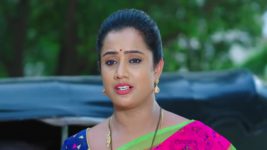Intiki Deepam Illalu ( Telugu) S01 E746 Hari Narayana's Cruel Ideas