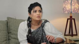 Krishnamma Kalipindhi Iddarini S01 E112 Gowri Feels Elated