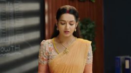 Krishnamma Kalipindhi Iddarini S01 E114 Gowri Gets Applauded