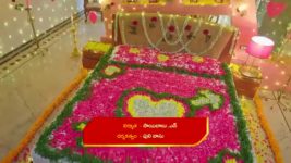 Naga Panchami (Star Maa) S01 E153 Nambudri Praises Jwala